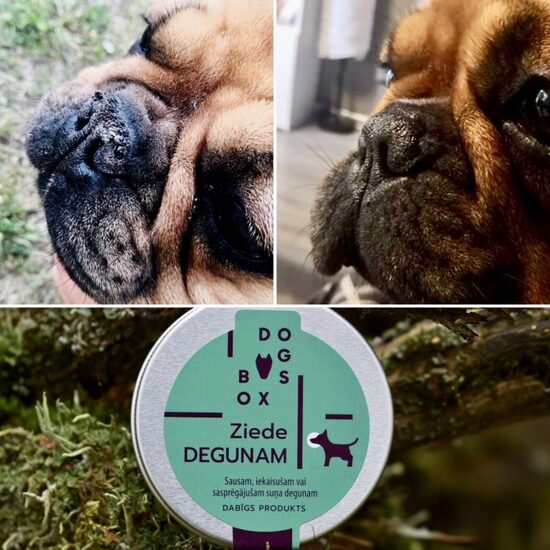 Ziede degunam DOGSBOX 50 ml